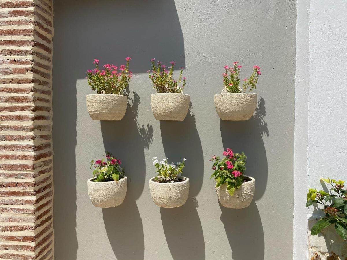 Casa Bixa Hotel Boutique - Mayores De 12 Anos - (Adults Only) Santa Fe de Antioquia Exteriör bild